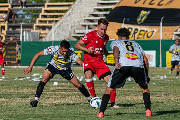 Pflege und Aufmerksamkeit: Die speziellen Bedürfnisse langhaariger Perserkatzen im Detail