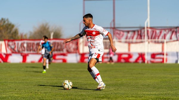 Tipps und Tricks: So bringst du deinem Hund das Möbel Kauen ab!