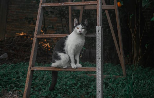 Optimale Erholungsstrategien für Ultra-Trail-Runner: So regenerierst du nach Langstreckenrennen effektiv!